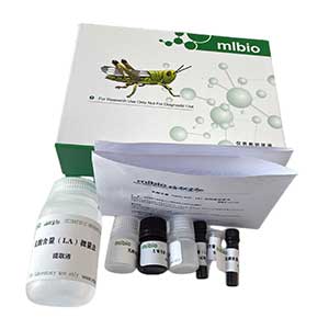 植酸含量測試盒/分光光度法主圖